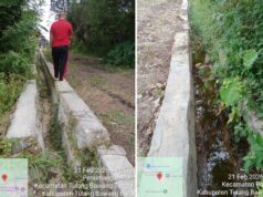 Drainase Rp55 Juta di Tiyuh Pagar Dewa Disoal: Tanpa Pondasi, Pakai Batu Bekas, Dugaan Mark-Up Menguat