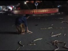 Diduga Truk Bermuatan Tebu Overload, Kabel Listrik Putus di Panaragan Jaya, Warga Terancam Bahaya